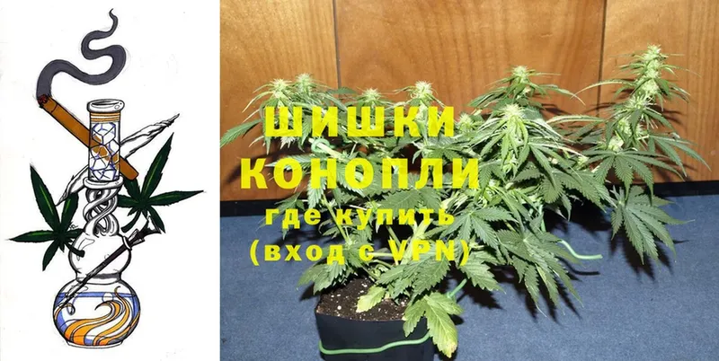 даркнет сайт  Великий Устюг  Каннабис THC 21% 